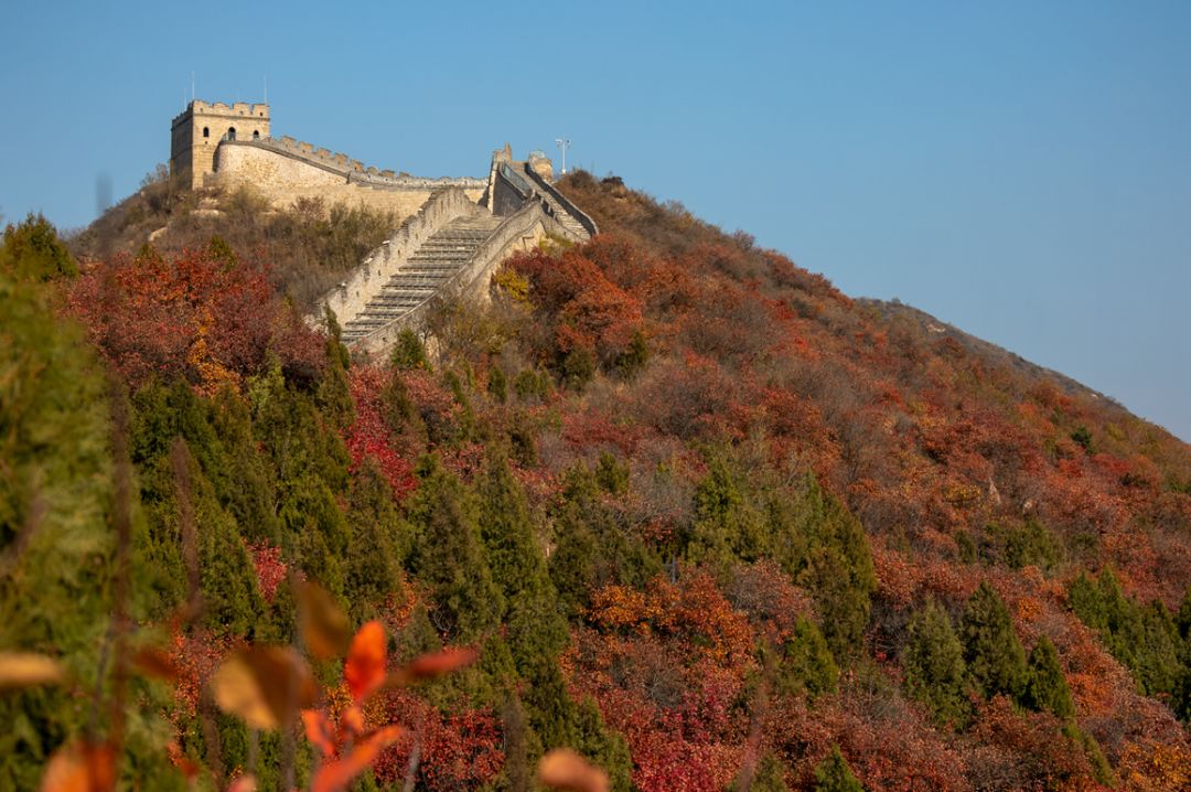 包揽了整个秋天美景!北京最美的景色都在这几个地儿