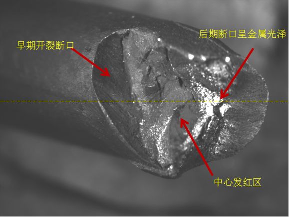 断口形貌(10×)