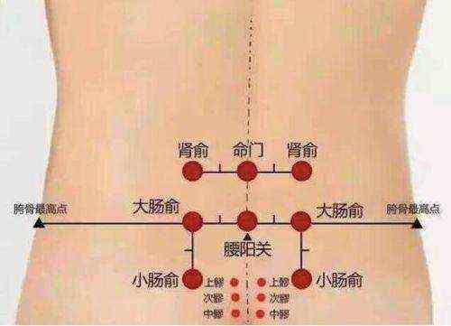 腰部到下半身痛艾灸什么穴位