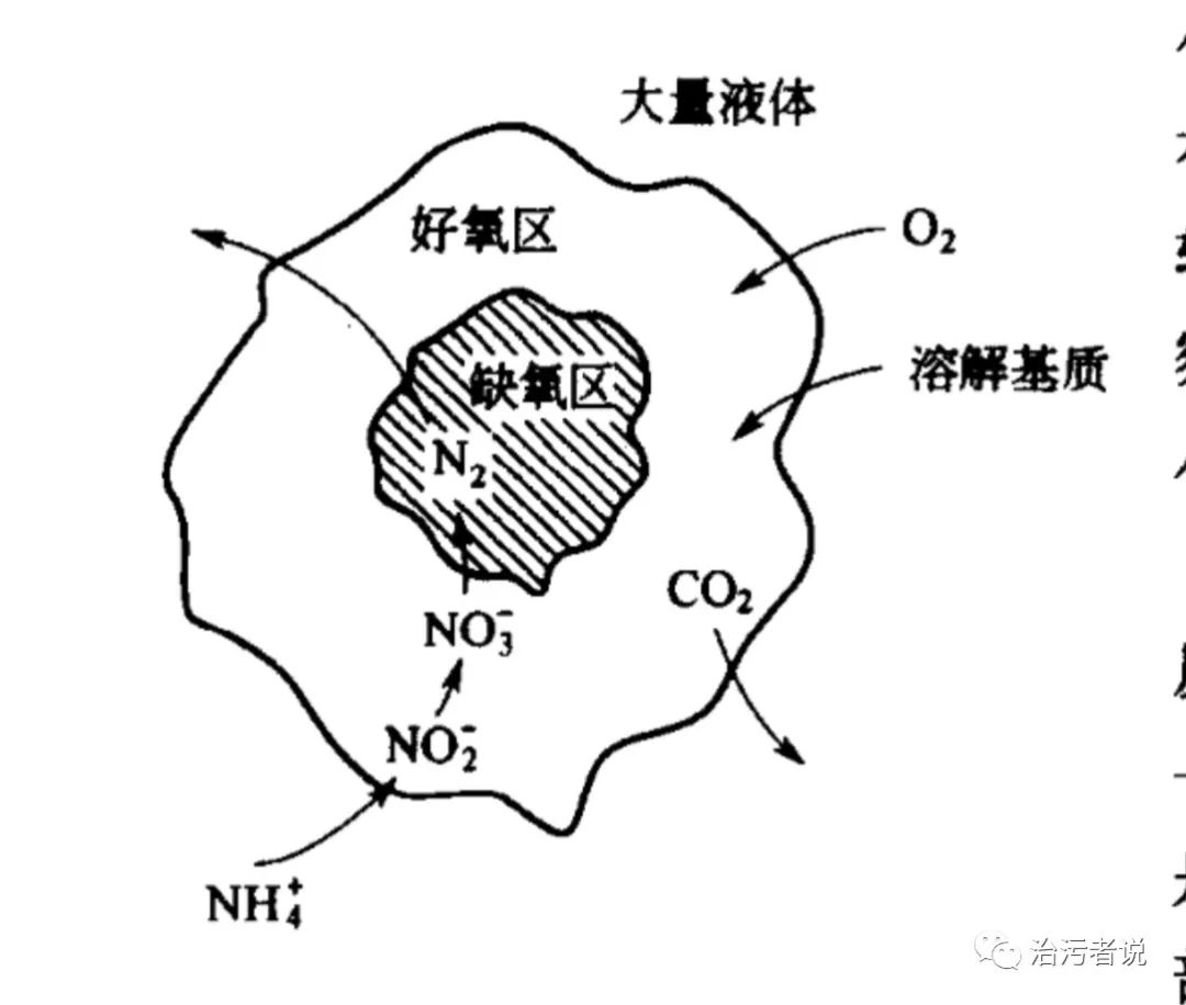 深入探讨体育新闻的具体概念