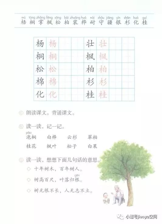 每日一字杉字统编教材二年级上册书写视频指导二年级版第8期