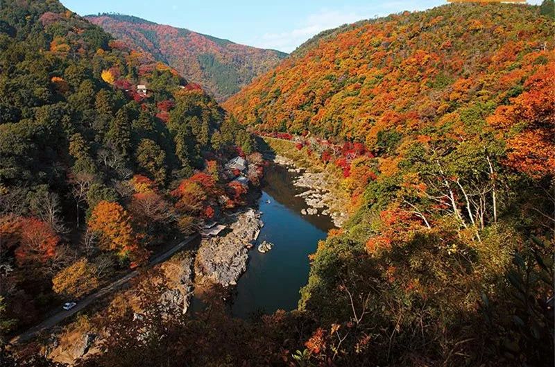 关西红叶预测 景点推介巴川河溪谷两旁有超过四千棵枫树,红叶的色彩