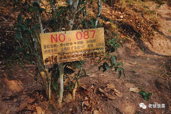 (p155-156)叙述"曼松王子山的茶好喝估计与土壤有些关系,王子山的土壤