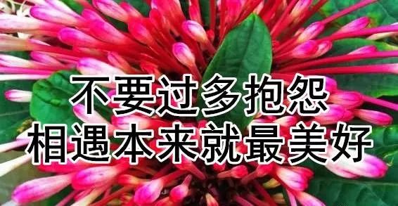 一曲《网络追请》美好又甜蜜,送给群里的朋友们!