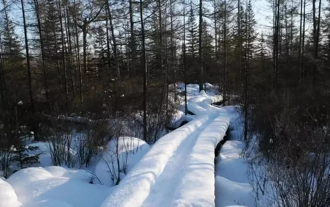 funfun而谈⑨|2018年的第一场雪,在伊春和你有个梦幻的秘密约会