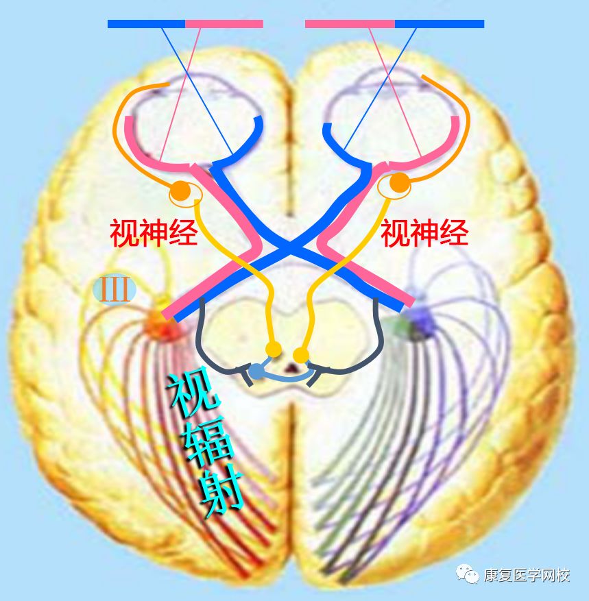 侧弯反射不消失怎么办