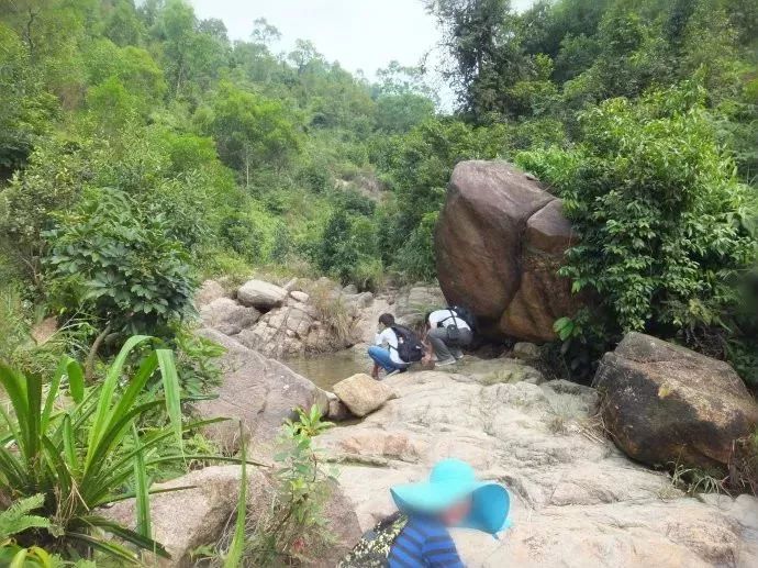 凤凰山绝美登山步道,条条都美呆了!