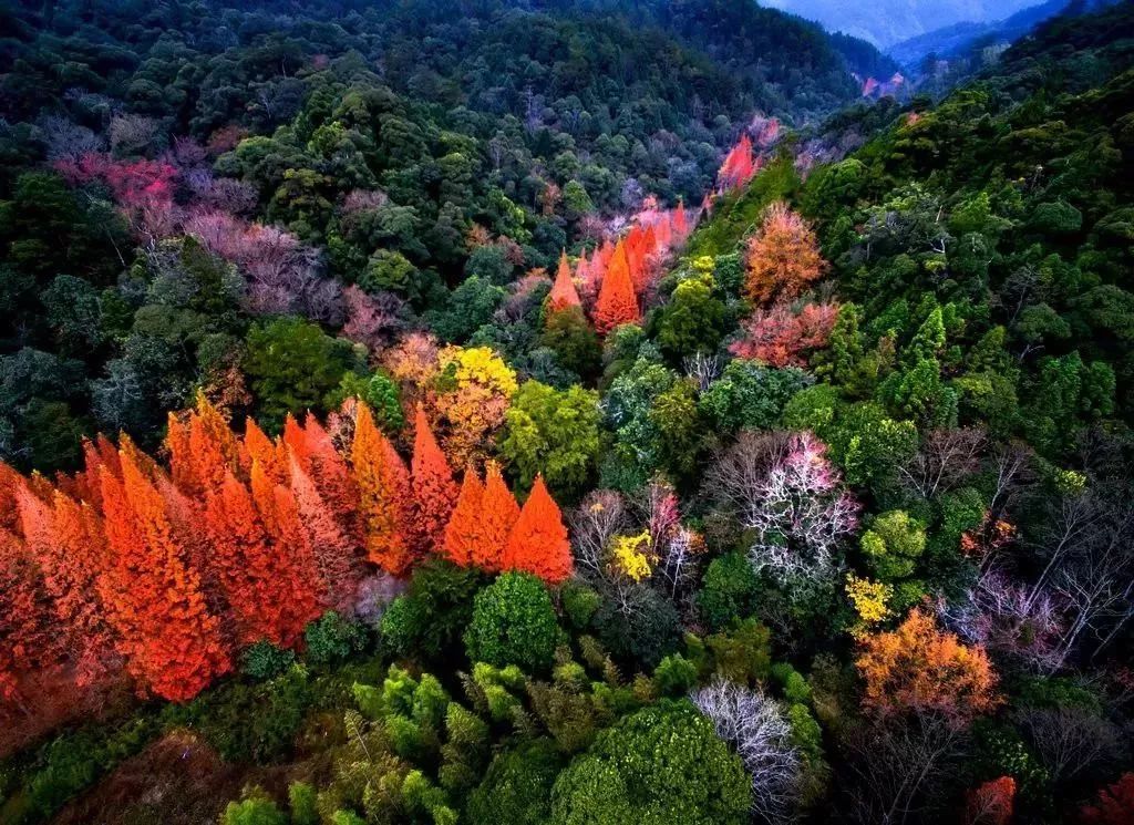 眼尖的朋友估计已经发现 龙栖山位于三明市将乐县西南部,今年3月