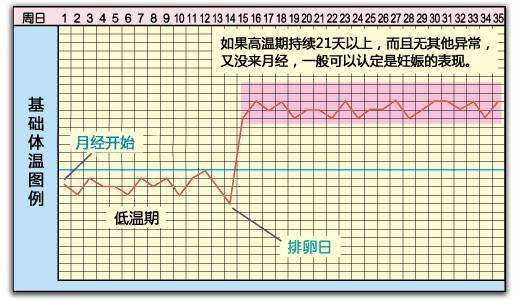 很多女性都见过白带拉丝的现象,其实这种现象与排卵期密切相关.