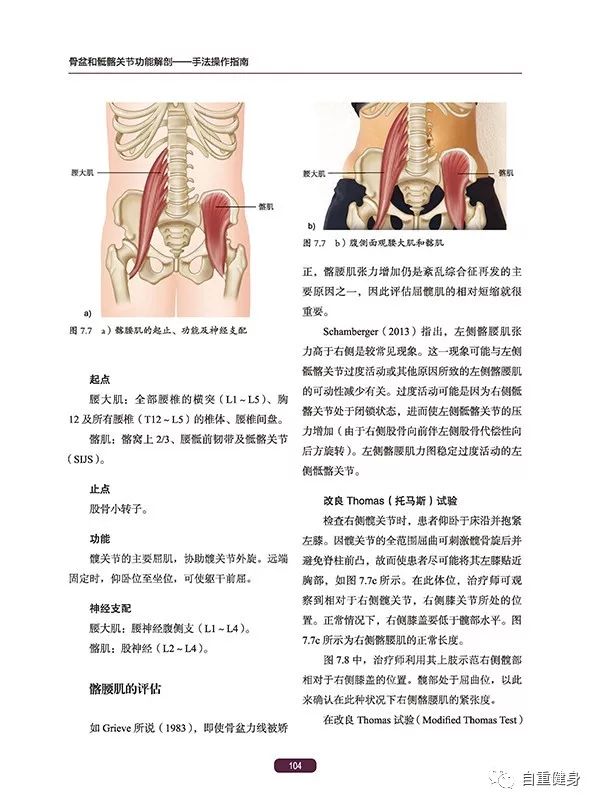 新书推荐:骨盆和骶髂关节功能解剖——手法操作指南