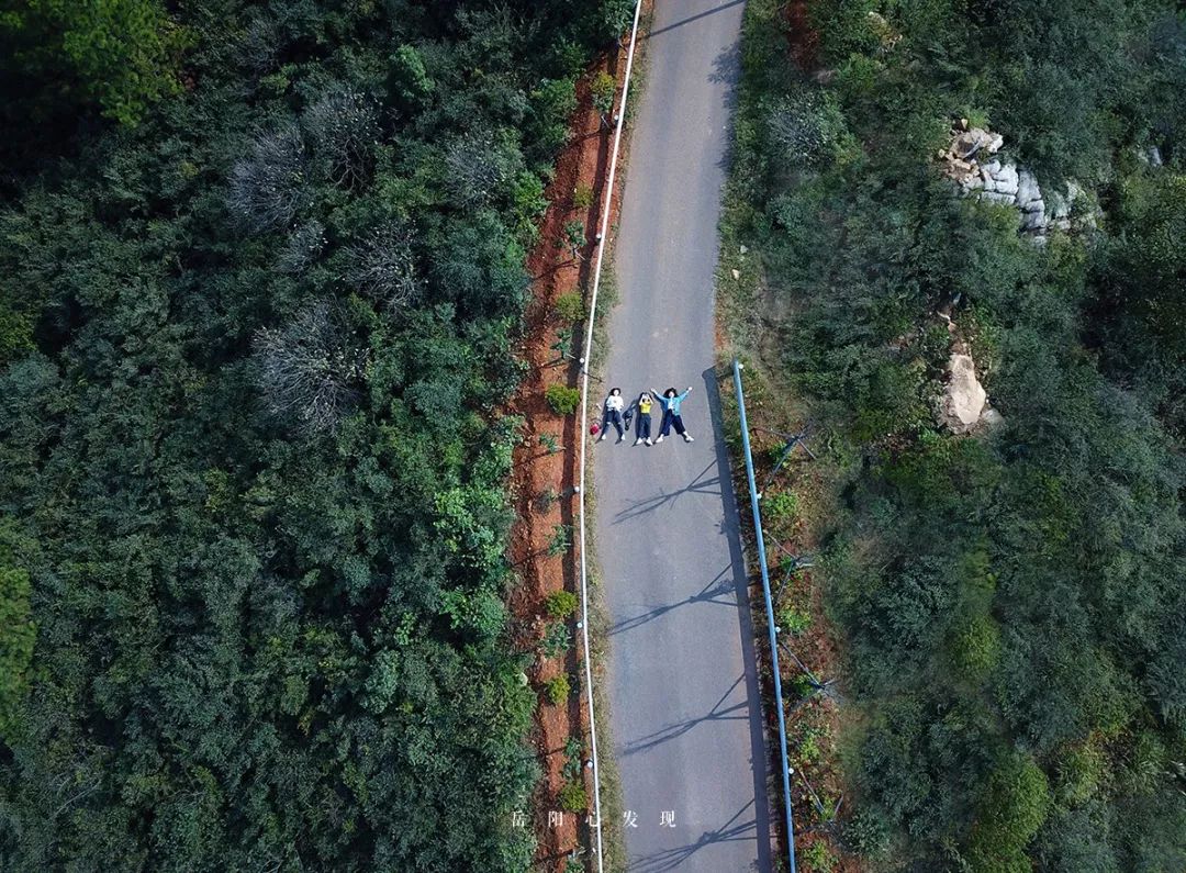 深秋出游攻略丨打卡岳阳花语世界,麻布山森林公园