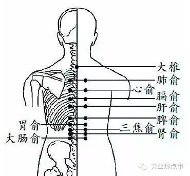 b.刮痧部位 主要三步就可以,第一步,背部的背俞穴,主要是脾俞,胃俞.