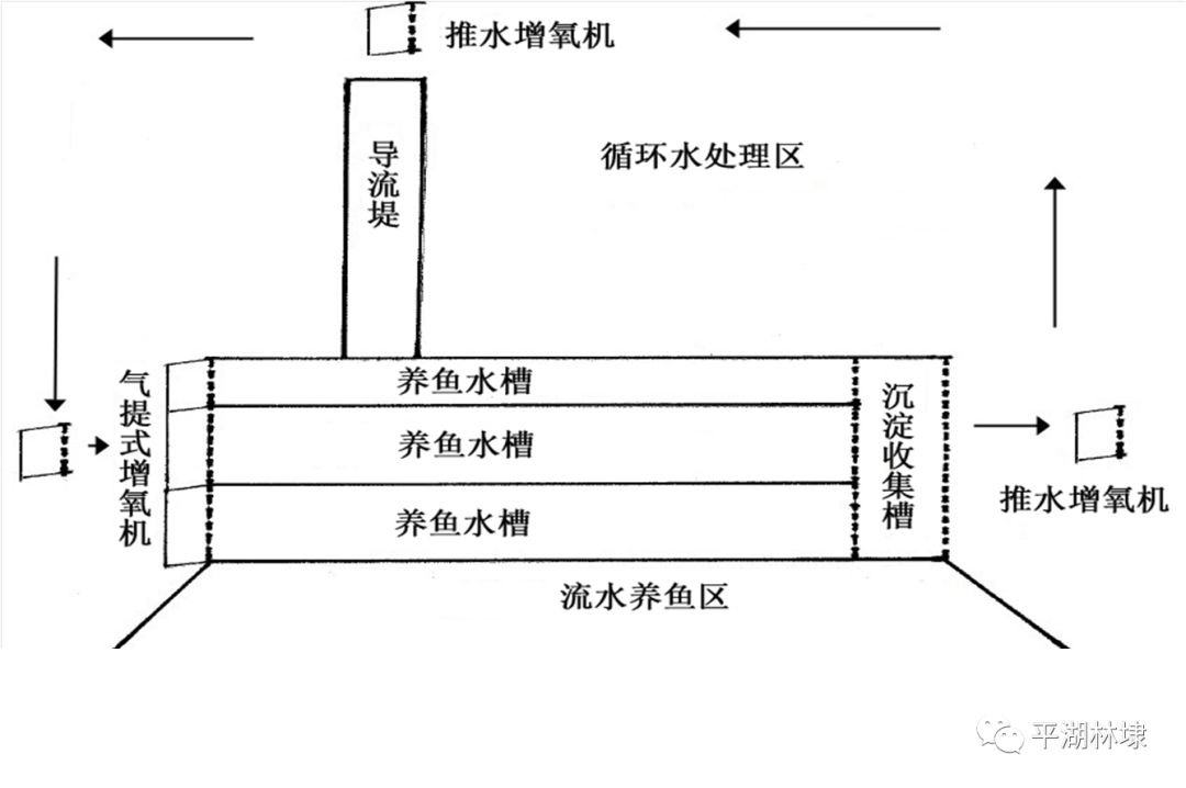 "跑道鱼"养殖模式又叫池塘内循环流水养殖模式,是当前各级渔业主管