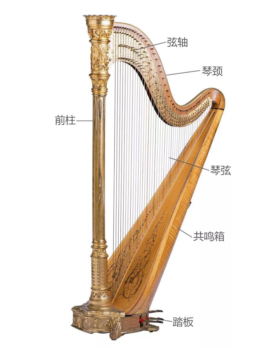 爱乐小讲堂 | 世间最美的乐器之一——竖琴