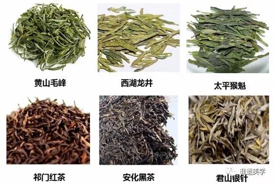 白茶,黄茶,黑茶绿茶,红茶,乌龙茶中国茶可分为分类法陈宗懋主编的