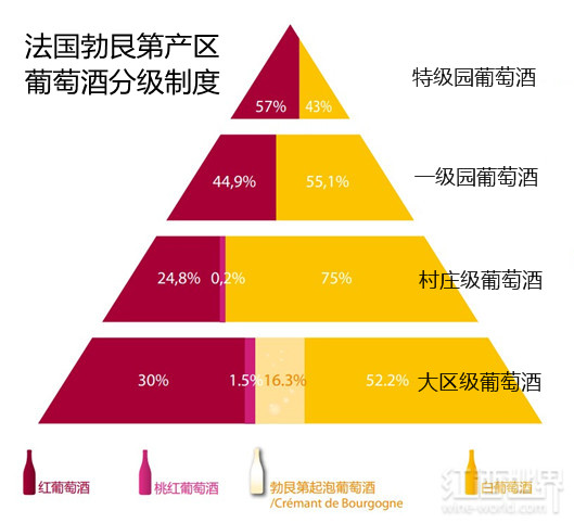 新手应该如何挑选勃艮第葡萄酒