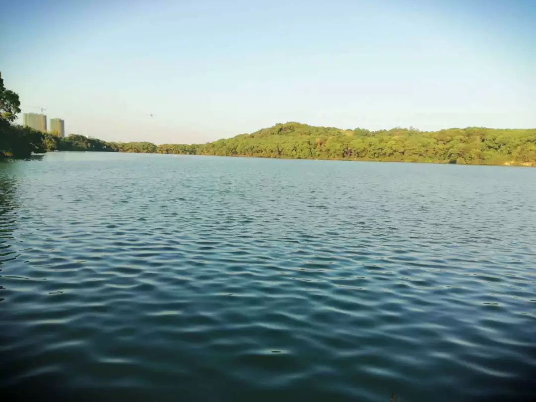 一潭湖水碧影天,水光潋滟晴方好