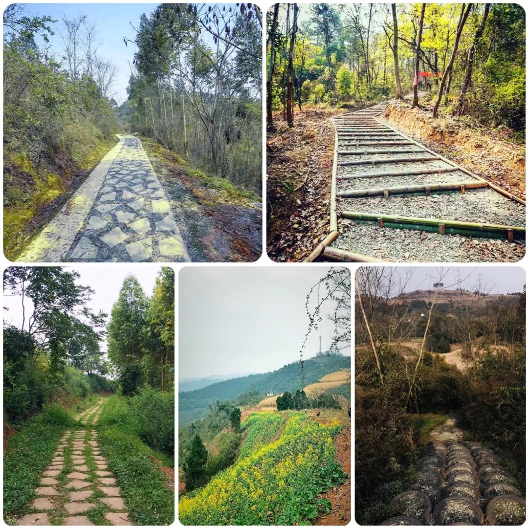 约,到无根山登山健身步道来场山地越野公益赛(附报名攻略)_崇州市