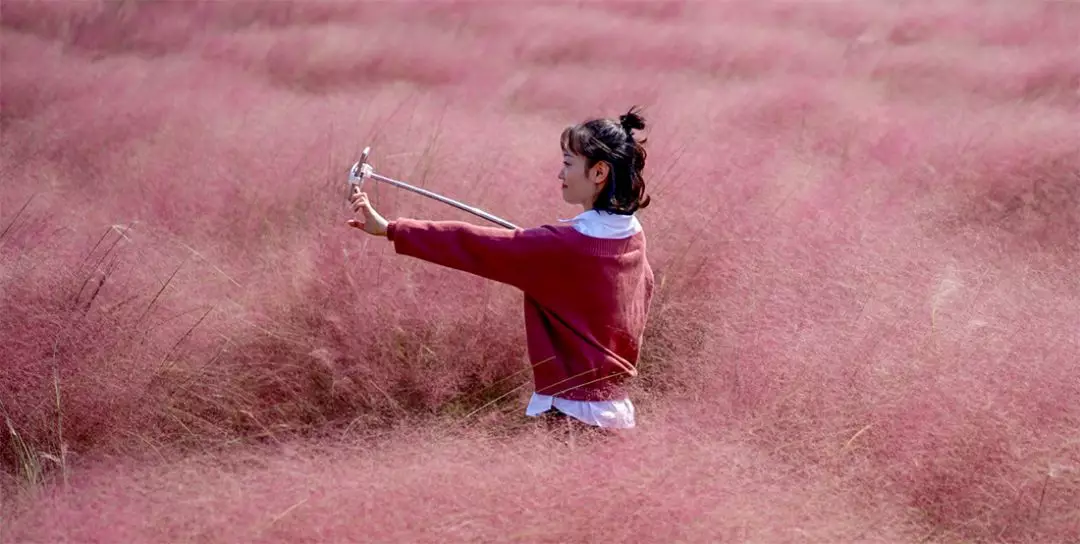 抖音爆红的梦幻粉色花海再次惊艳亮相!就在深圳隔壁还