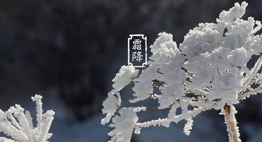 霜降节气含有天气渐冷,初霜出现的意思,是秋季的最后一个节气,也意味