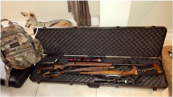南非狩猎规定狩猎只可以使用带有瞄准镜的栓动步枪, 不可以使用半