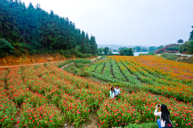 据了解"花千谷"是双牌县结合建设泷泊国际慢城,将该段紧邻河道的山谷