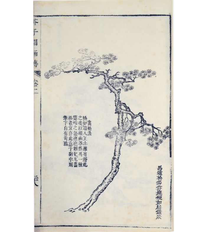 冯老师首先用清代李渔的《芥子园画谱》中的一幅松树的图像做引在