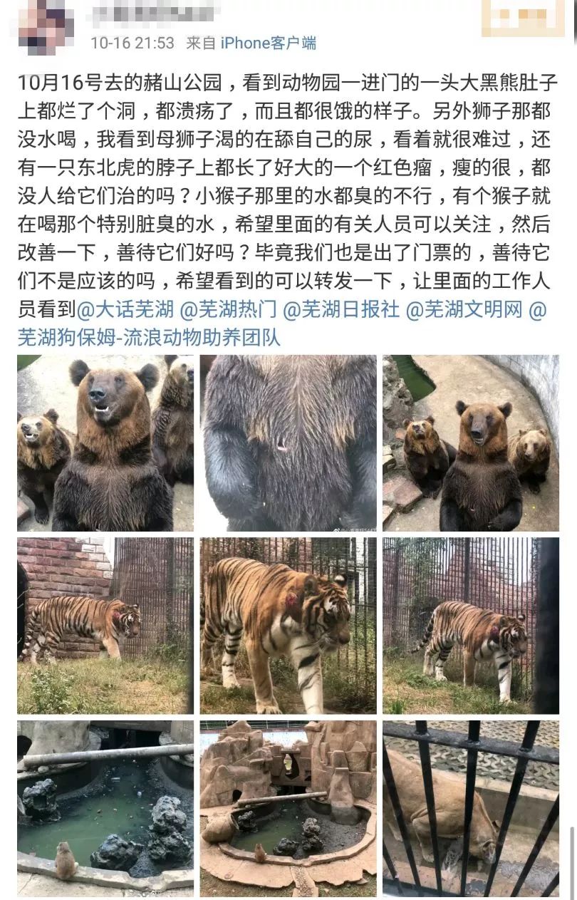 芜湖赭山公园动物园回应"园内动物生存环境恶劣":不属