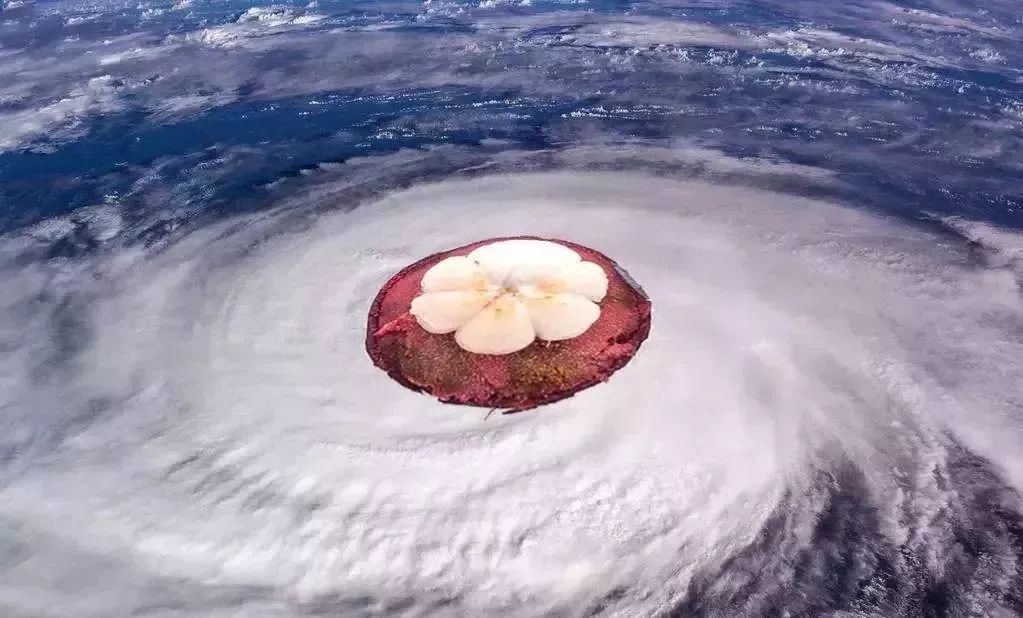 超强台风玉兔生成最高可达17级冷空气大风降雨即将杀到厦门天气将遭遇