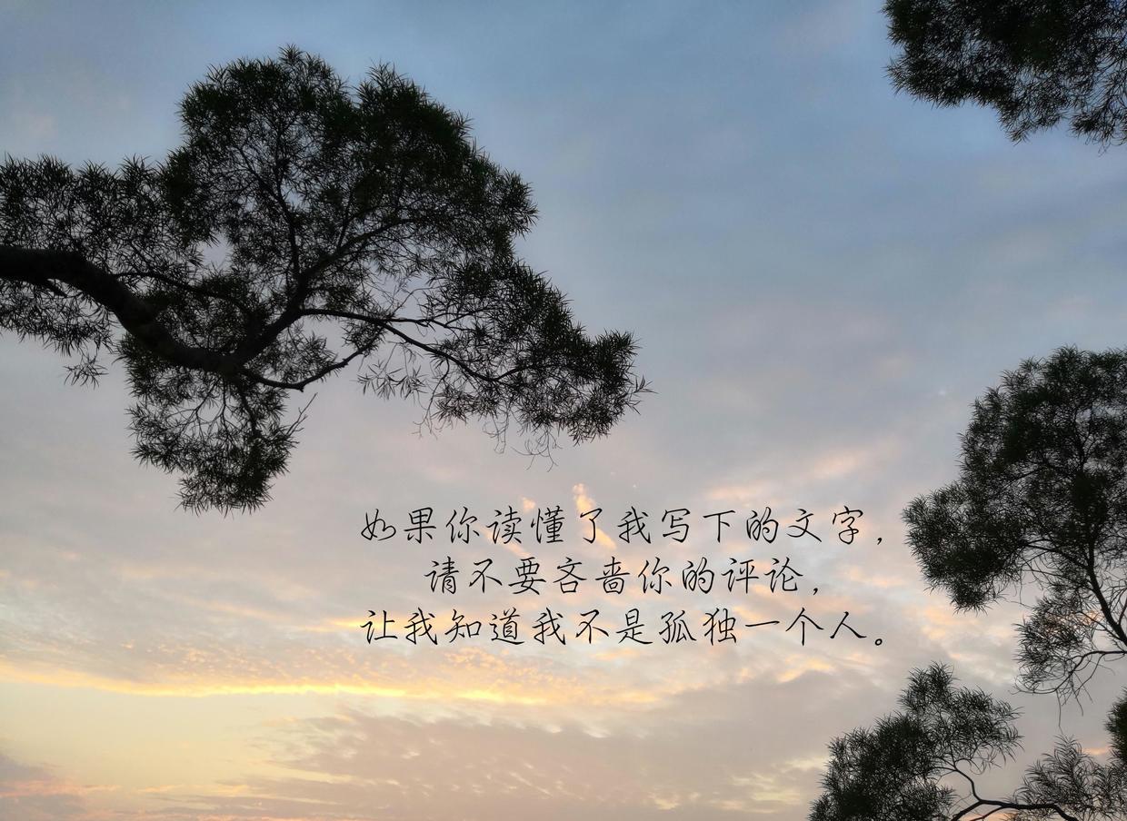 我不想知道真相是怎样,人来人往,匆匆忙忙,每个人都有自己的人生轨迹.