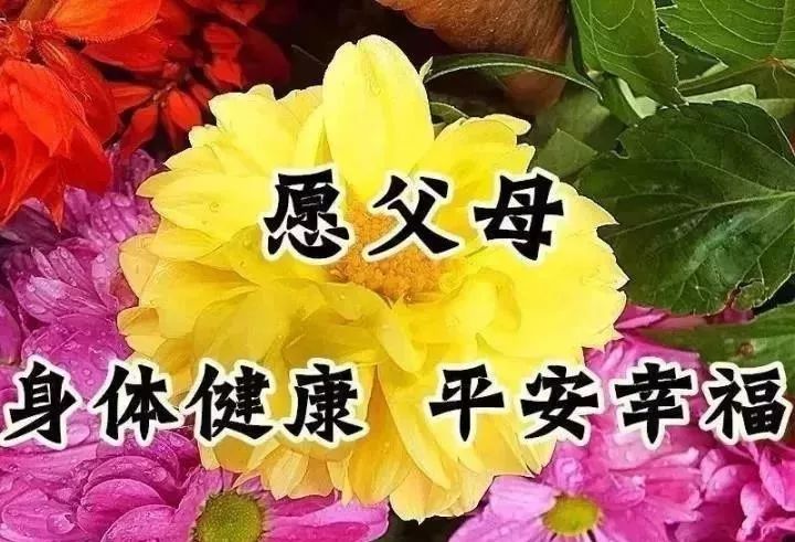 一生幸福