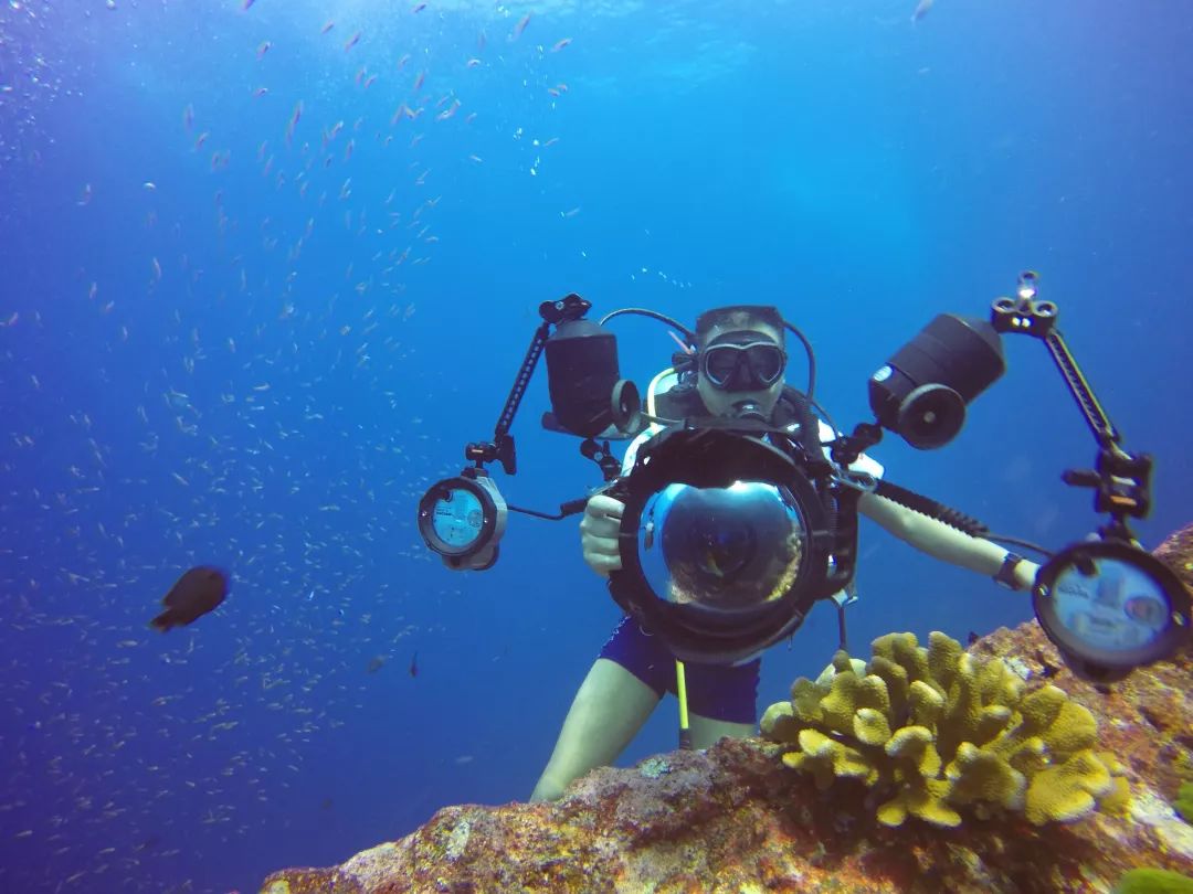 与鱼共舞水下摄影是一种什么样的体验丨探图摄影师专访