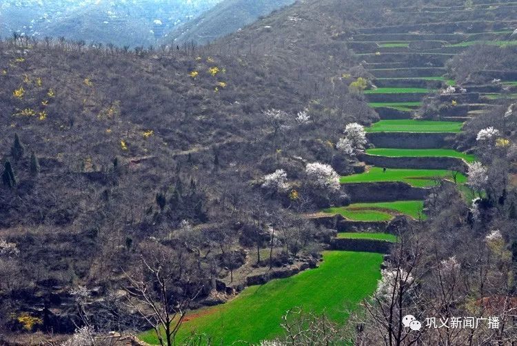 "绿水青山就是金山"的绿色发展理念,为地薄林茂的巩义市小关镇南岭