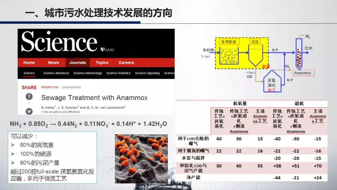 清华大学 王凯军 教授:西安第四污水处理厂主流厌氧氨氧化的分析与启示