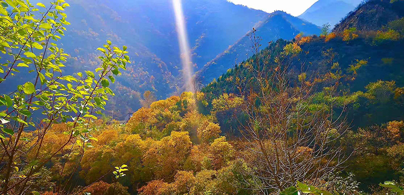 神韵秋景哪里览醉美还是白石山