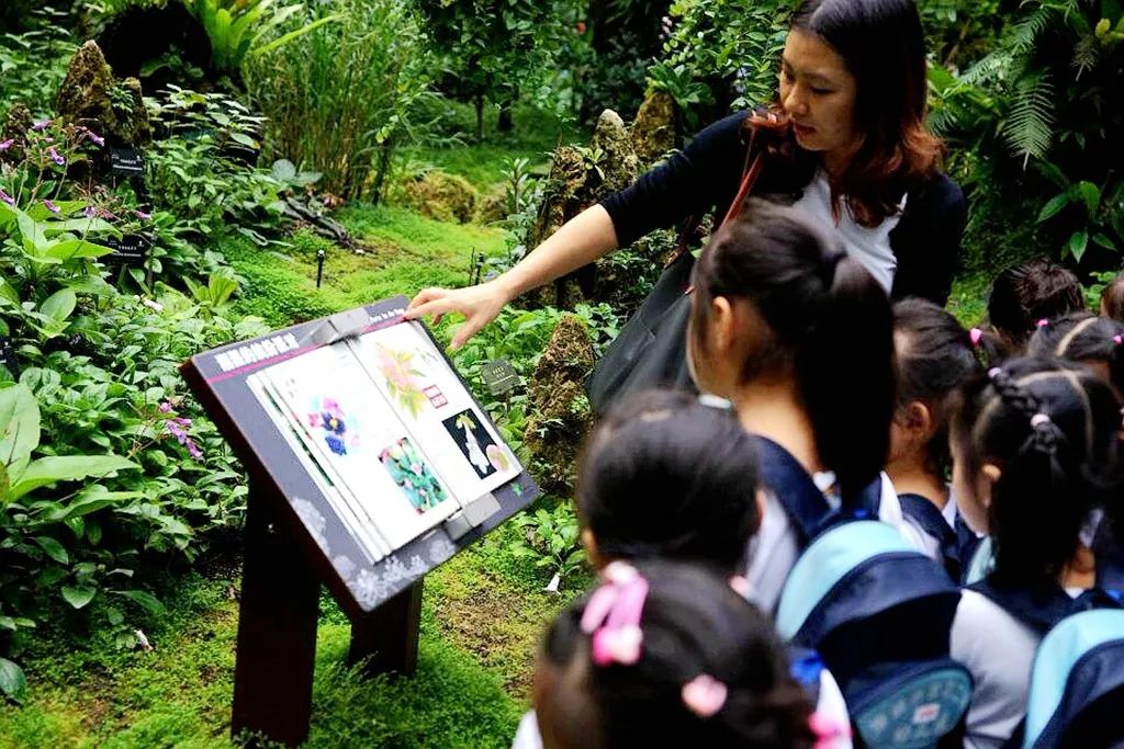 走进仙湖植物园,自然探索之旅