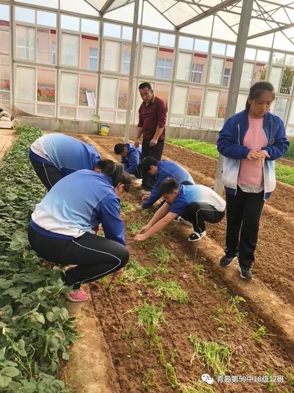 【学农实践】初一12班全体学生下乡体验开始啦_青岛59中学