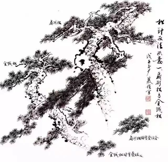 教你画好一棵松:国画——松树的画法