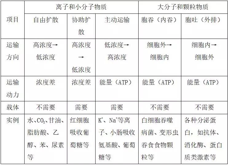 物质跨膜运输方式综合比较