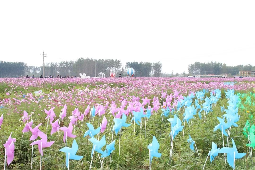 菏泽-曹县旅游业杀出了一匹黑马!来花海世界放松一下吧!