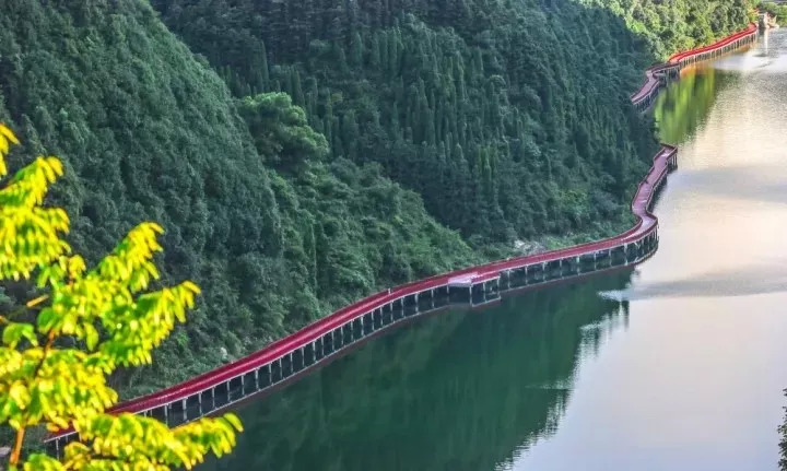 旅游 正文 开化十里水杉公路,春天绿树成荫,秋天黄叶满地,雪天整齐