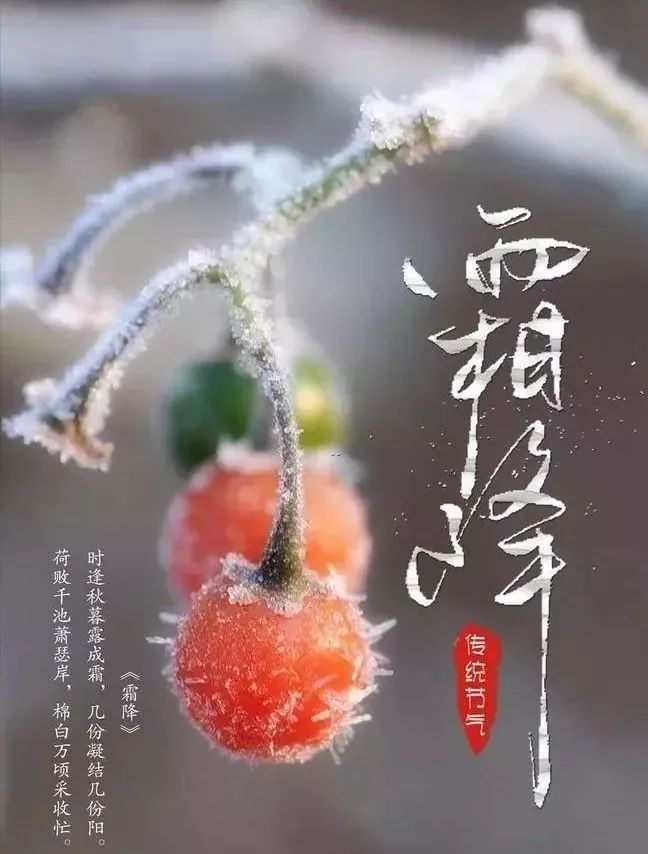 听田鼠莫莫和兔子弯弯讲节气——霜降