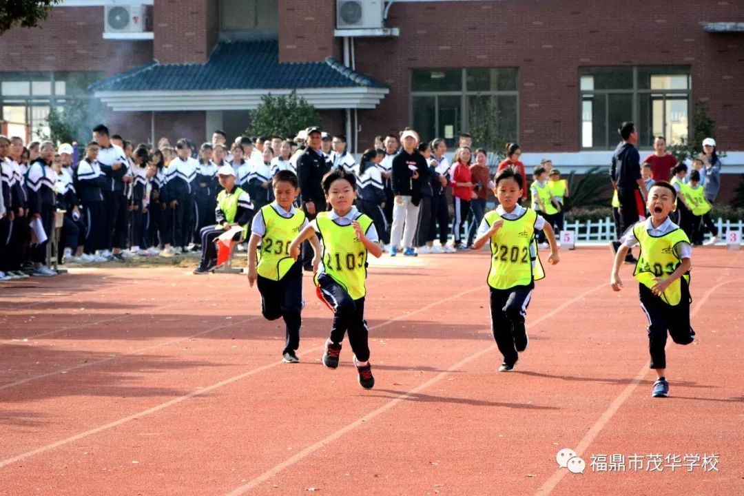 我运动我健康我快乐福鼎市茂华学校小学部第18届田径运动会暨小学部第