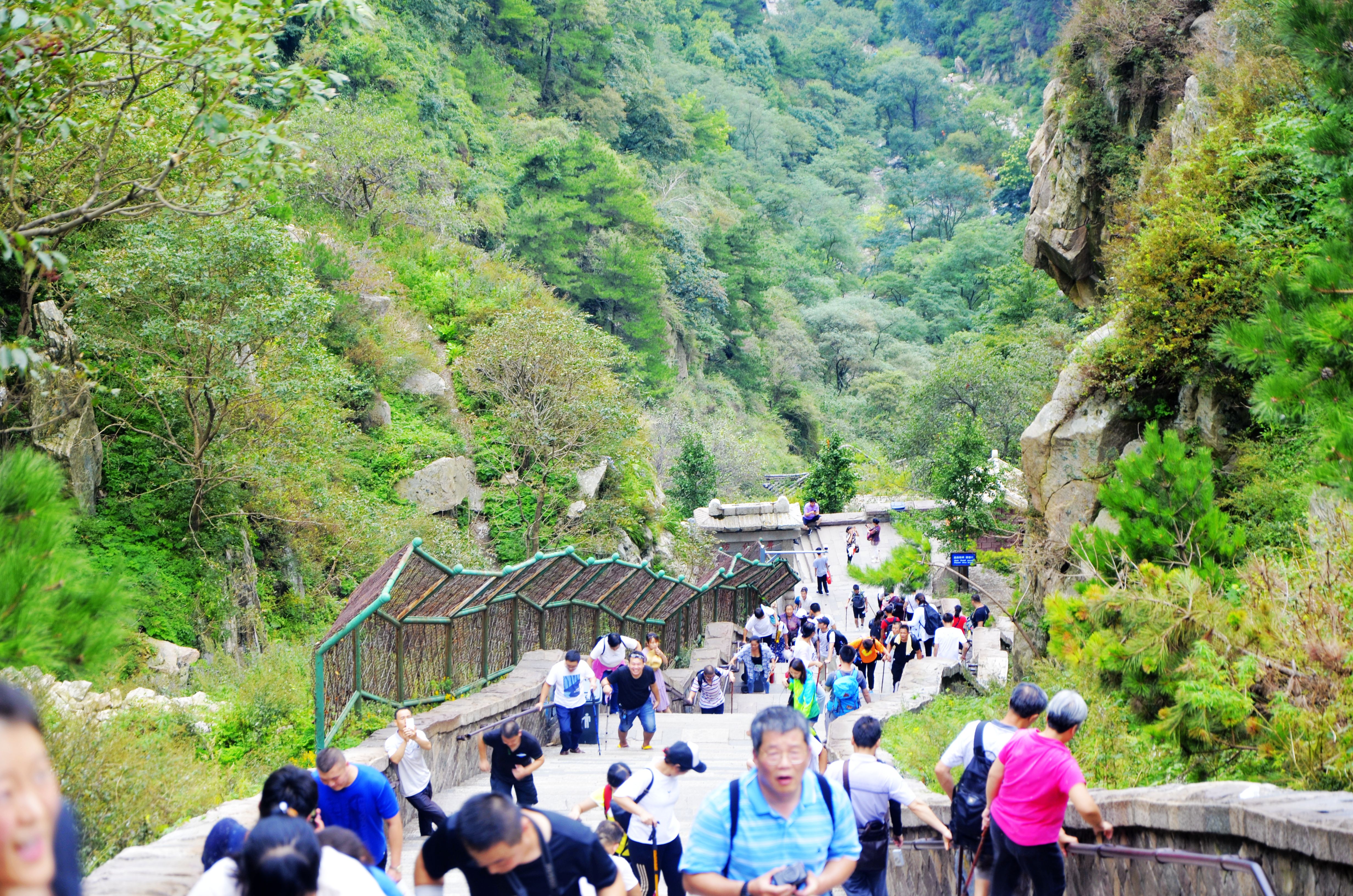 自驾游中国第40天,花11小时征服山东泰山,峰顶如同仙境一般!