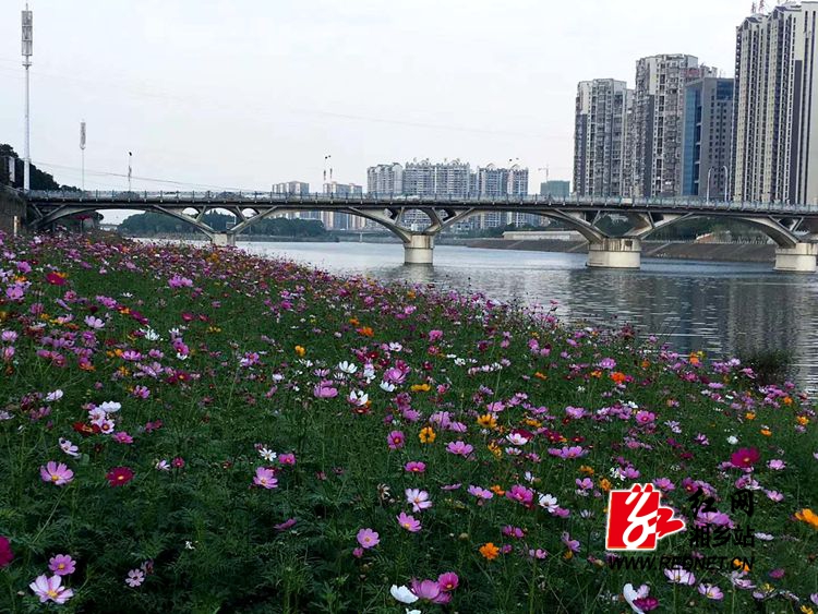 湘乡市涟滨驳岸华丽转身 昔日"菜园"变"花园"