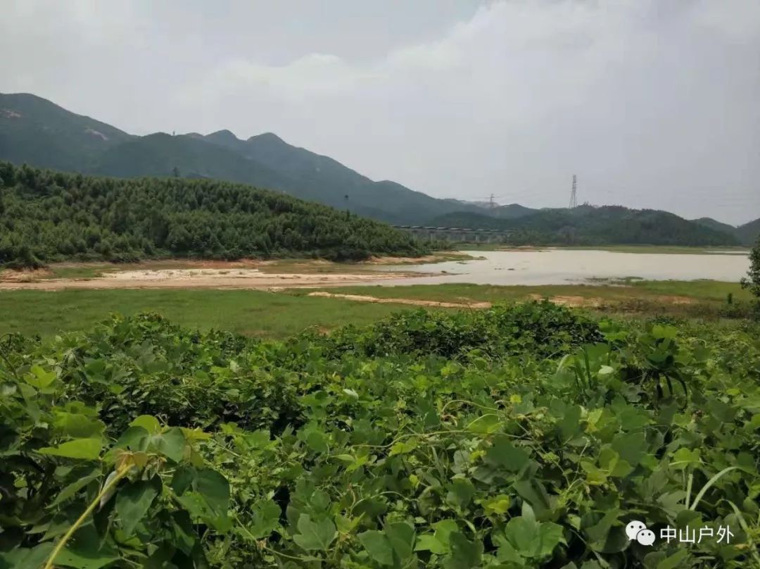 梅阁水库位于江门新会沙堆镇,此处山高林密,是新会的天然氧吧之一.