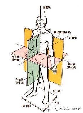 实际上则包括在冠状面,水平面,矢状面上的序列异常,首先我们先了解下