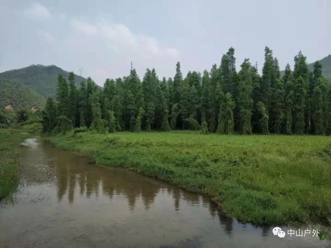 梅阁水库位于江门新会沙堆镇,此处山高林密,是新会的天然氧吧之一.