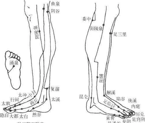 先灸大腿外侧(足三阳经)由上至下灸至踝关节.