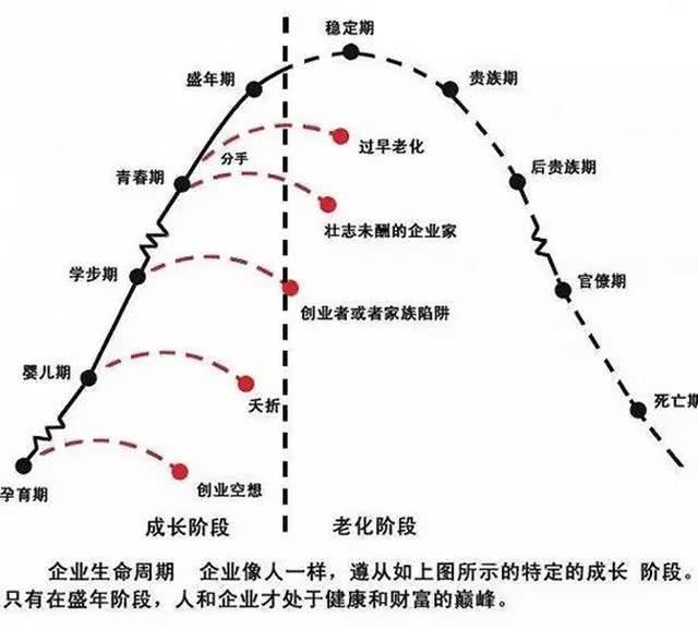 对于企业生命周期阶段的划分,基本为:孕育期,婴儿期,学步期,青春期,盛